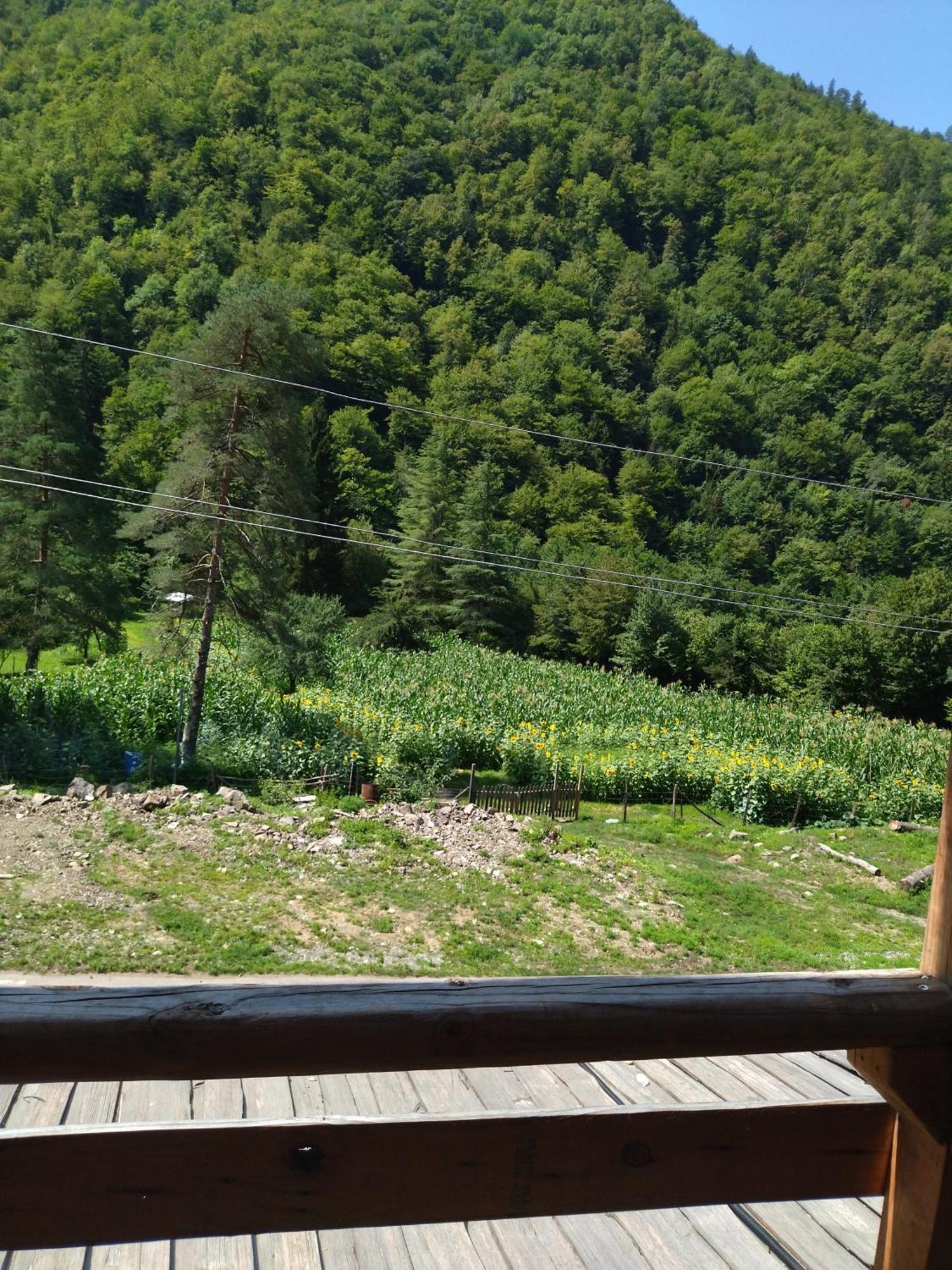 Hotel Alismereti Zekari 外观 照片